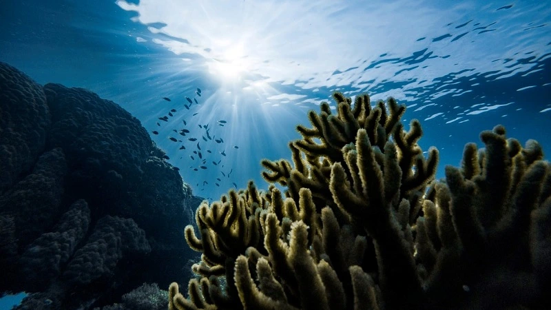 Esgotamento de oxigênio antes da evaporação dos oceanos